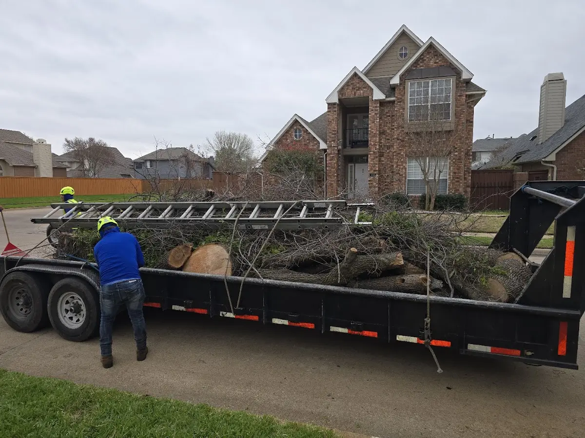 Expert Tree Fertilization with proper safety equipment in Schuylkill Haven